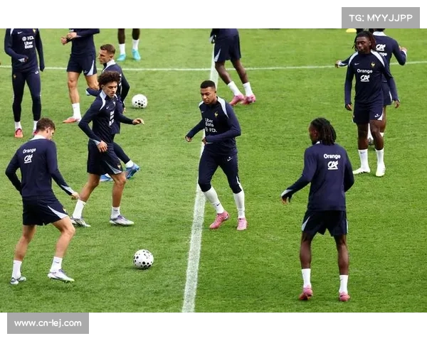 法国足球文化多样性庆祝活动展示不同背景球员贡献与融合精神